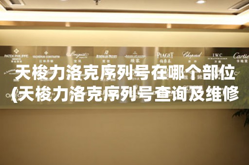 天梭力洛克序列號(hào)在哪個(gè)部位(天梭力洛克序列號(hào)查詢及維修細(xì)節(jié)，全面解析天梭手表的維修保養(yǎng))