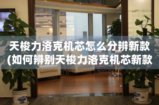 天梭力洛克機(jī)芯怎么分辨新款(如何辨別天梭力洛克機(jī)芯新款？)