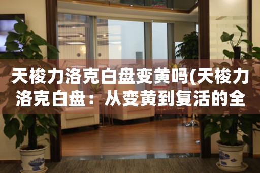 天梭力洛克白盤(pán)變黃嗎(天梭力洛克白盤(pán)：從變黃到復(fù)活的全過(guò)程)