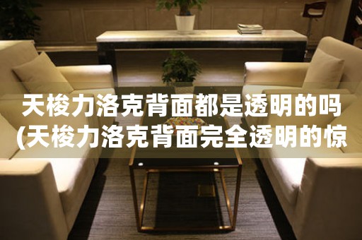 天梭力洛克背面都是透明的嗎(天梭力洛克背面完全透明的驚人之處)