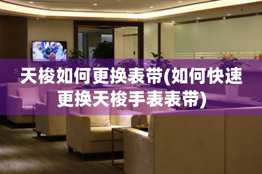 天梭如何更換表帶(如何快速更換天梭手表表帶)