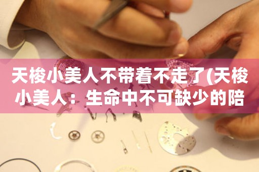 天梭小美人不帶著不走了(天梭小美人：生命中不可缺少的陪伴)