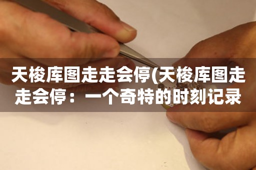 天梭庫圖走走會停(天梭庫圖走走會停：一個奇特的時刻記錄)