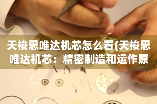 天梭思唯達(dá)機(jī)芯怎么看(天梭思唯達(dá)機(jī)芯：精密制造和運(yùn)作原理)