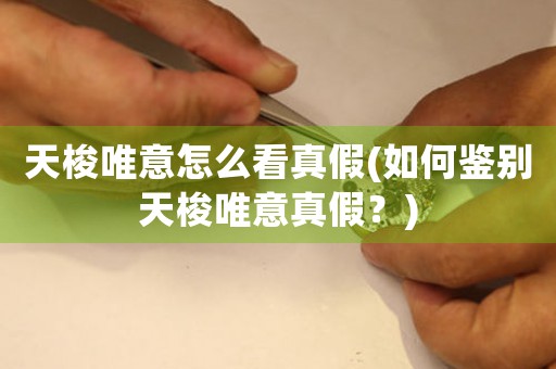 天梭唯意怎么看真假(如何鑒別天梭唯意真假？)