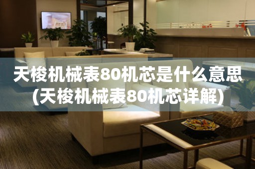 天梭機械表80機芯是什么意思(天梭機械表80機芯詳解)