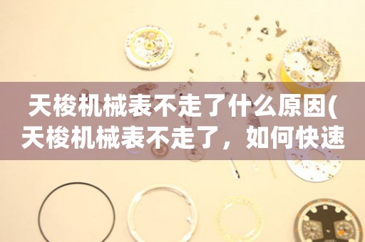 天梭機械表不走了什么原因(天梭機械表不走了，如何快速修復(fù)？)