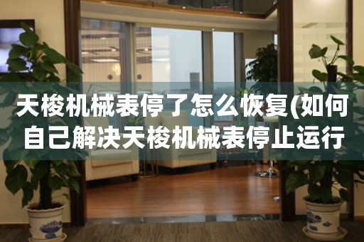 天梭機械表停了怎么恢復(fù)(如何自己解決天梭機械表停止運行問題？)