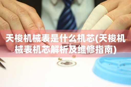 天梭機(jī)械表是什么機(jī)芯(天梭機(jī)械表機(jī)芯解析及維修指南)