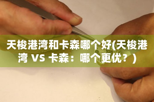 天梭港灣和卡森哪個(gè)好(天梭港灣 VS 卡森：哪個(gè)更優(yōu)？)