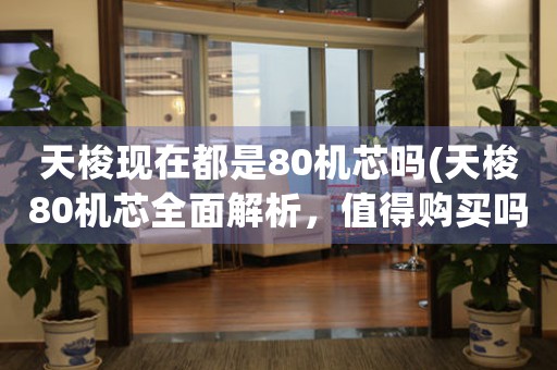 天梭現(xiàn)在都是80機(jī)芯嗎(天梭80機(jī)芯全面解析，值得購買嗎？)
