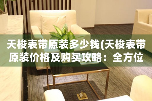 天梭表帶原裝多少錢(天梭表帶原裝價格及購買攻略：全方位指南)