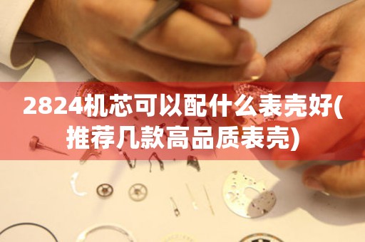 2824機(jī)芯可以配什么表殼好(推薦幾款高品質(zhì)表殼)