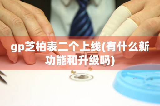 gp芝柏表二個(gè)上線(有什么新功能和升級(jí)嗎)