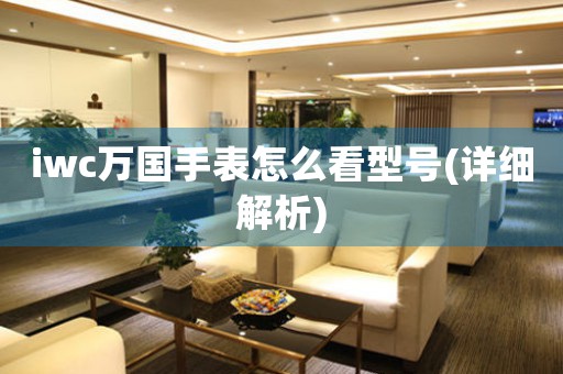 iwc萬國手表怎么看型號(詳細解析)