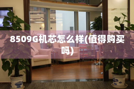 8509G機芯怎么樣(值得購買嗎)