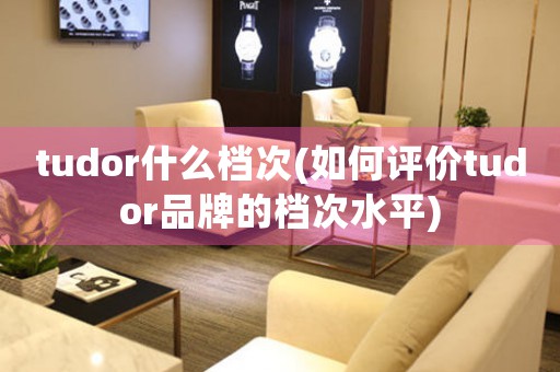 tudor什么檔次(如何評(píng)價(jià)tudor品牌的檔次水平)