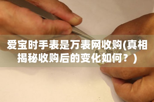 愛寶時手表是萬表網(wǎng)收購(真相揭秘收購后的變化如何？)