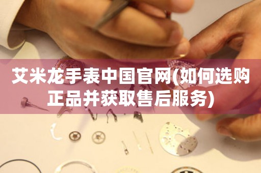 艾米龍手表中國官網(wǎng)(如何選購正品并獲取售后服務(wù))