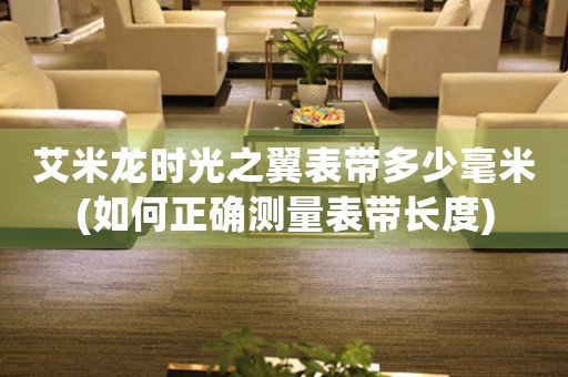 艾米龍時光之翼表帶多少毫米(如何正確測量表帶長度)