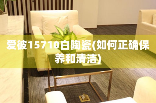 愛(ài)彼15710白陶瓷(如何正確保養(yǎng)和清潔)