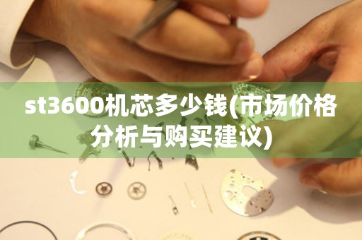 st3600機(jī)芯多少錢(市場價(jià)格分析與購買建議)