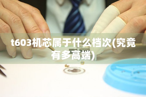 t603機(jī)芯屬于什么檔次(究竟有多高端)