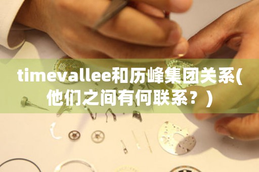 timevallee和歷峰集團(tuán)關(guān)系(他們之間有何聯(lián)系？)