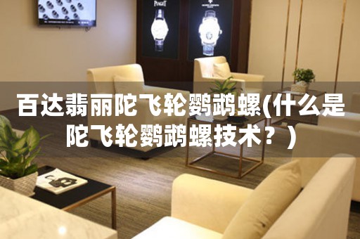 百達翡麗陀飛輪鸚鵡螺(什么是陀飛輪鸚鵡螺技術(shù)？)