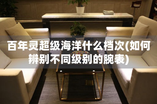 百年靈超級(jí)海洋什么檔次(如何辨別不同級(jí)別的腕表)