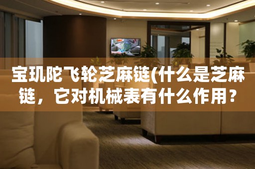 寶璣陀飛輪芝麻鏈(什么是芝麻鏈，它對(duì)機(jī)械表有什么作用？)