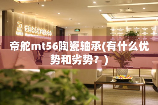 帝舵mt56陶瓷軸承(有什么優(yōu)勢和劣勢？)