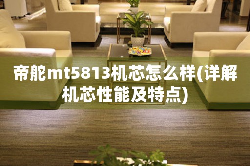 帝舵mt5813機(jī)芯怎么樣(詳解機(jī)芯性能及特點(diǎn))