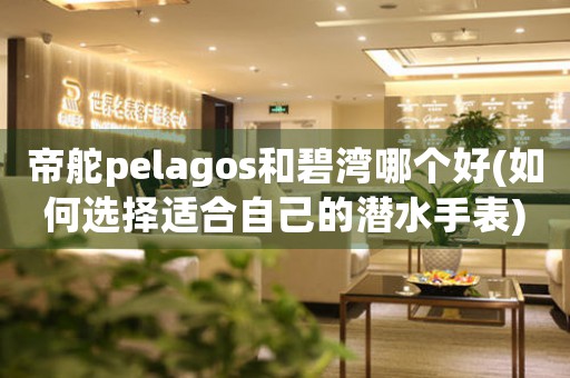 帝舵pelagos和碧灣哪個好(如何選擇適合自己的潛水手表)