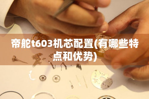 帝舵t603機(jī)芯配置(有哪些特點(diǎn)和優(yōu)勢)