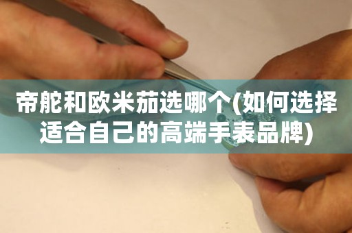帝舵和歐米茄選哪個(如何選擇適合自己的高端手表品牌)