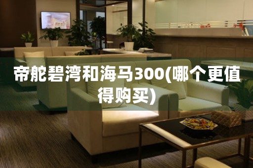 帝舵碧灣和海馬300(哪個更值得購買)