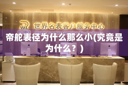 帝舵表徑為什么那么小(究竟是為什么？)