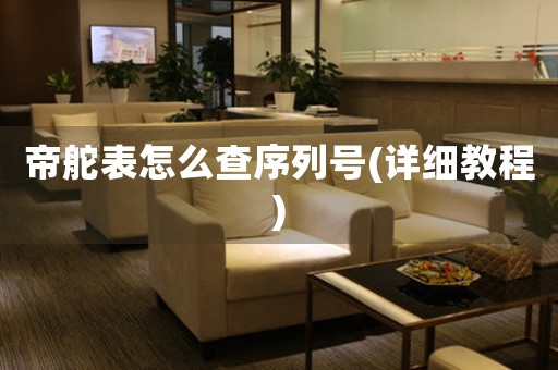 帝舵表怎么查序列號(詳細(xì)教程)