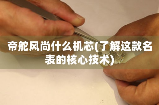 帝舵風(fēng)尚什么機(jī)芯(了解這款名表的核心技術(shù))