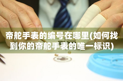 帝舵手表的編號在哪里(如何找到你的帝舵手表的唯一標(biāo)識)