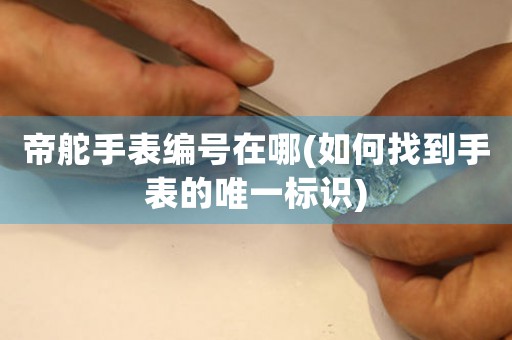 帝舵手表編號在哪(如何找到手表的唯一標(biāo)識)