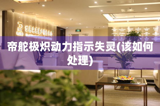 帝舵極熾動(dòng)力指示失靈(該如何處理)