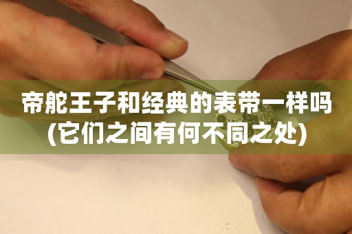 帝舵王子和經(jīng)典的表帶一樣嗎(它們之間有何不同之處)