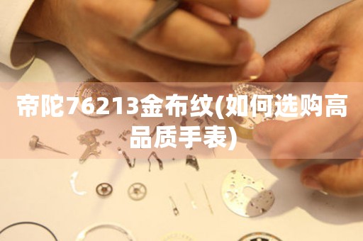 帝陀76213金布紋(如何選購(gòu)高品質(zhì)手表)