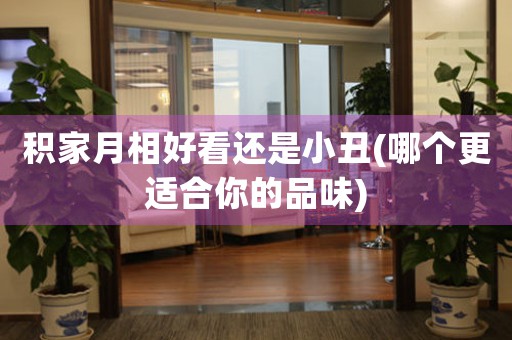 積家月相好看還是小丑(哪個更適合你的品味)