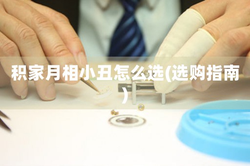 積家月相小丑怎么選(選購指南)