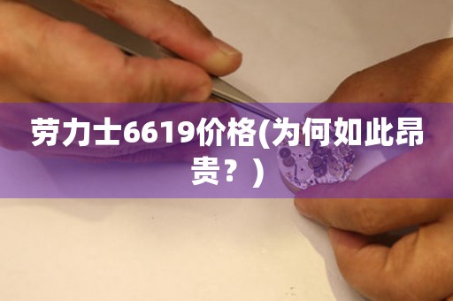勞力士6619價(jià)格(為何如此昂貴？)