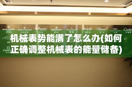 機(jī)械表勢(shì)能滿了怎么辦(如何正確調(diào)整機(jī)械表的能量?jī)?chǔ)備)