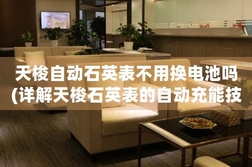 天梭自動石英表不用換電池嗎(詳解天梭石英表的自動充能技術和使用維護方法)。